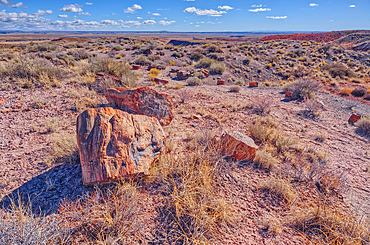 Pieces of petrified wood on the hills overlooking Dead Wash in Petrified Forest National Park Arizona.