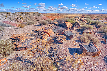 Pieces of petrified wood on the hills overlooking Dead Wash in Petrified Forest National Park Arizona.