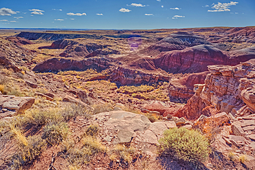 A canyon in Petrified Forest National Park Arizona that drains into Dead Wash.