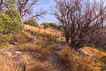 The boundary gate between Coconino National Forest and the Wet Beaver Creek Wilderness in Arizona. The fence is meant to keep cattle out of the wilderness area. The trail continues onto White Mesa past this gate.