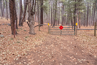 The gate for the Campbell Draw Tank in the Coconino National Forest of Arizona. The gate is meant to keep motor vehicles out. There is a path on the left for hikers.