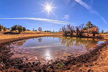 A cattle pond in Coconino National Forest of Arizona known as Rarick Tank.