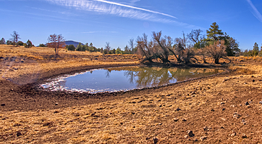 A cattle pond in Coconino National Forest of Arizona known as Rarick Tank.