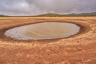 A cattle pond, also called a livestock tank, partially frozen in the Coconino National Forest of Arizona.