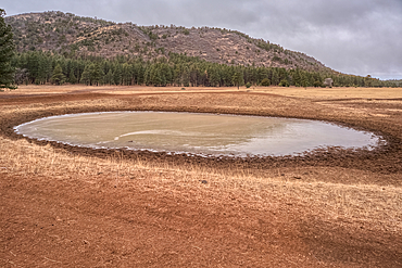 A cattle pond, also called a livestock tank, partially frozen in the Coconino National Forest of Arizona with Apache Maid Mountain in the background.