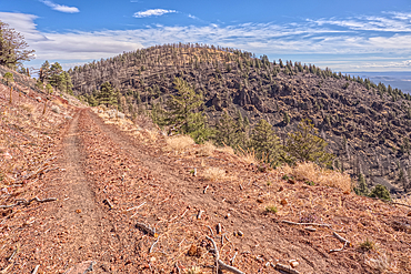The eastern summit of O'Leary Peak in the Coconino National Forest of Arizona. Adjacent to the Sunset Crater National Monument.