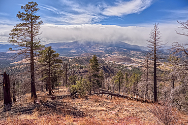 A snow squall storm building up over Humphrey's Peak. Viewed from O'Leary Peak in the Coconino National Forest of Arizona. Adjacent to Sunset Crater National Monument.