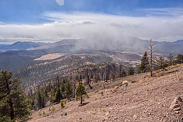 A snow squall storm building up over Humphrey's Peak. Viewed from O'Leary Peak in the Coconino National Forest of Arizona. Adjacent to Sunset Crater National Monument.