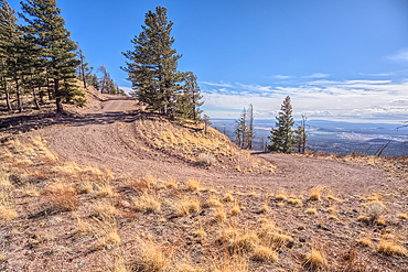 Forest Service Road that leads to the O'Leary Peak Watchtower and Overlook. Adjacent to Sunset Crater National Monument Arizona in the Coconino National Forest.
