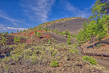 View from the Lower Lava Trail near Sunset Crater Volcano, north of Flagtaff, Arizona, United States of America, North America