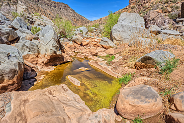 An ephemeral pool of water in the granite riverbed of the Agua Fria River Canyon in the Agua Fria National Monument of Arizona.