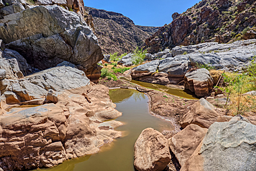 An ephemeral pool of water in the granite riverbed of the Agua Fria River Canyon in the Agua Fria National Monument of Arizona.