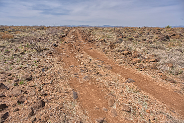 A primitive road in the Agua Fria National Monument that branches off from Forest Service Road 9023 near Silver Creek Canyon Arizona.