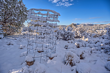 Snow covered landscape from a late winter storm in Chino Valley Arizona.