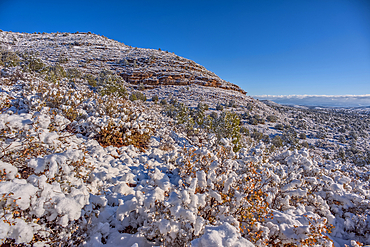 Snow covered landscape from a late winter storm in Chino Valley Arizona.