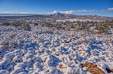 Snow covered landscape from a late winter storm in Chino Valley Arizona.