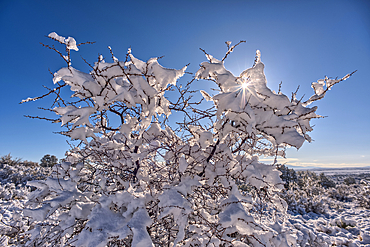 Snow covered landscape from a late winter storm in Chino Valley Arizona.