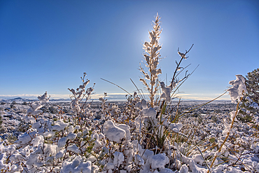 Snow covered landscape from a late winter storm in Chino Valley Arizona.
