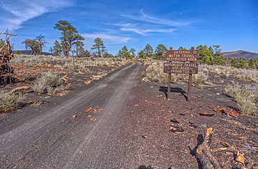 Fire Road 546 where it branches off from Sunset Crater National Monument into Coconino National Forest of Arizona.