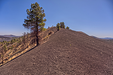 Volcanic cinder hills in Coconino National Forest near Sunset Crater National Monument of Arizona.