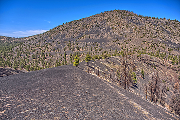 The southeast summit of O'Leary Peak viewed from a volcanic ridge in Coconino National Forest near Sunset Crater National Monument of Arizona.