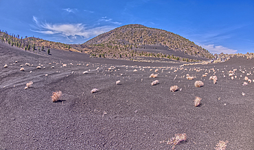 Volcanic cinder hills in Coconino National Forest near Sunset Crater National Monument of Arizona.