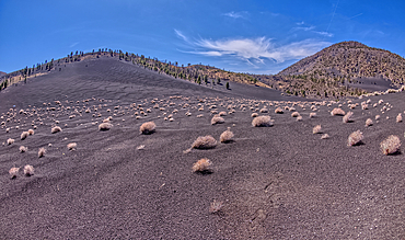 Volcanic cinder hills in Coconino National Forest near Sunset Crater National Monument of Arizona.
