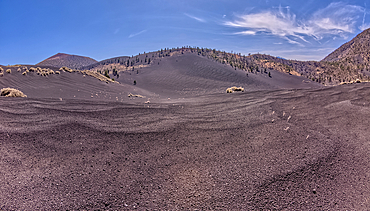 Volcanic cinder hills in Coconino National Forest near Sunset Crater National Monument of Arizona.
