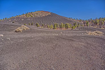 Volcanic cinder hills in Coconino National Forest near Sunset Crater National Monument of Arizona.