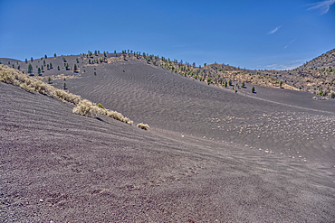 Volcanic cinder hills in Coconino National Forest near Sunset Crater National Monument of Arizona.