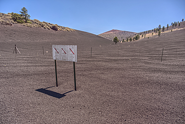 The boundary fence between Coconino National Forest and Sunset Crater National Monument of Arizona.
