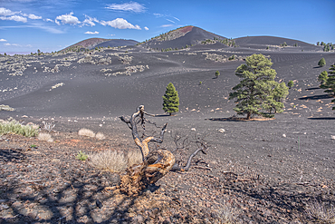 Volcanic cinder hills in Coconino National Forest near Sunset Crater National Monument of Arizona.