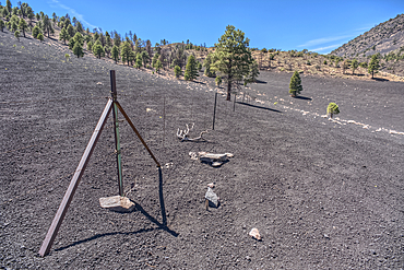 The boundary fence between Coconino National Forest and Sunset Crater National Monument of Arizona.