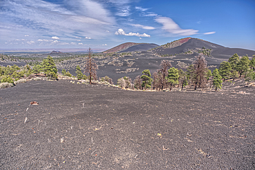 Volcanic cinder hills in Coconino National Forest near Sunset Crater National Monument of Arizona.