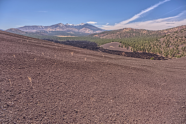 Volcanic cinder hill in Coconino National Forest near Sunset Crater National Monument of Arizona with snow capped Humphrey's Peak in the background.