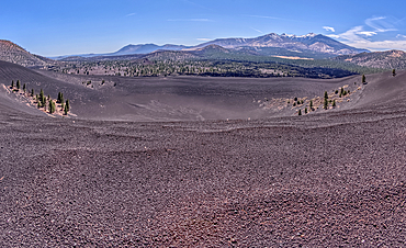Volcanic cinder rim in Coconino National Forest near Sunset Crater National Monument of Arizona. Humphrey's Peak is in the background.