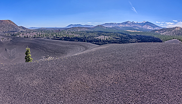 Volcanic cinder rim in Coconino National Forest near Sunset Crater National Monument of Arizona. Humphrey's Peak is in the background.