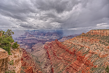 A rain storm over the North Rim of Grand Canyon National Park Arizona. Viewed from the Pipe Creek Vista on the South Rim.