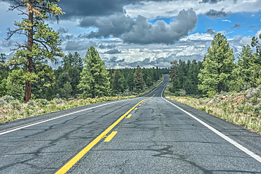 State Route 64 heading north to Grand Canyon South Rim Arizona. Viewed thru the windshield of a moving vehicle. There may be some motion blur.