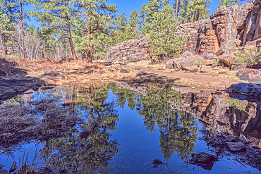 A still pond in Keyhole Sink in the Kaibab National Forest near Williams Arizona. This sink is an open ended sinkhole where water can flow out of it.