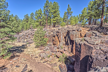 The cliff rim of Keyhole Sink in the Kaibab National Forest near Williams Arizona. This sink is an open ended sinkhole where water can flow out of it.