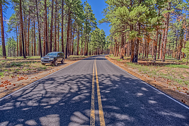 An SUV parked along Cape Royal Road at Grand Canyon North Rim Arizona.