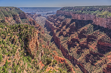 View of Clear Creek Canyon from its east rim at Grand Canyon North Rim Arizona.