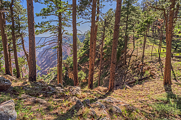 Dry Waterfall on the north end of Clear Creek Canyon at Grand Canyon North Rim Arizona.
