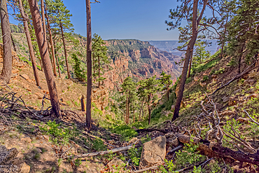Dry Waterfall on the north end of Clear Creek Canyon at Grand Canyon North Rim Arizona.