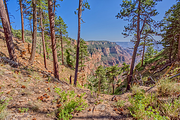 Dry Waterfall on the north end of Clear Creek Canyon at Grand Canyon North Rim Arizona.