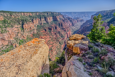 View of Clear Creek Canyon from its north cliffs at Grand Canyon North Rim Arizona.