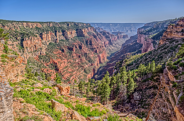 View of Clear Creek Canyon from its north cliffs at Grand Canyon North Rim Arizona.