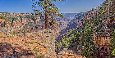 Dry Waterfall on the north end of Clear Creek Canyon at Grand Canyon North Rim Arizona.