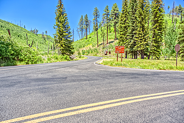 The point where Fuller Canyon Road divides in Grand Canyon North Rim Arizona. Left fork leads to Point Imperial. Right fork leads to Cape Royal.